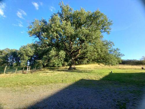 Pindray Bed & Breakfast | 20 m² Bed and breakfast ∙ 2 guests