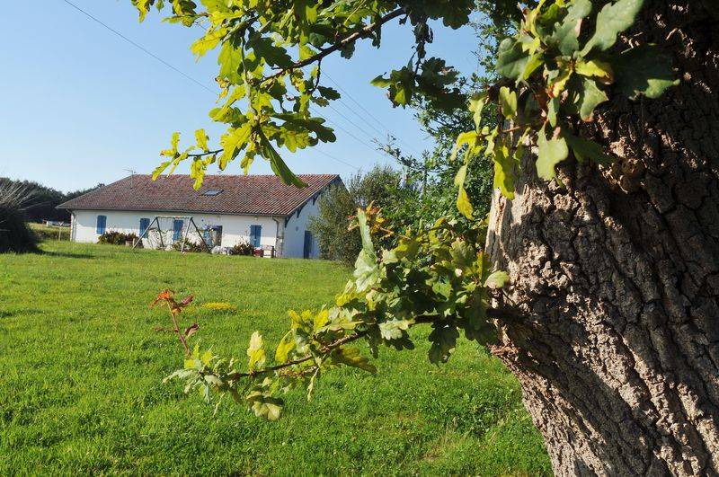 Orist House | 220 m² Gîte ∙ 4 bedrooms ∙ 8 guests