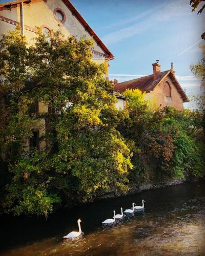 La Celle-sous-Gouzon House | 3 lofts dans Minoterie Industrielle