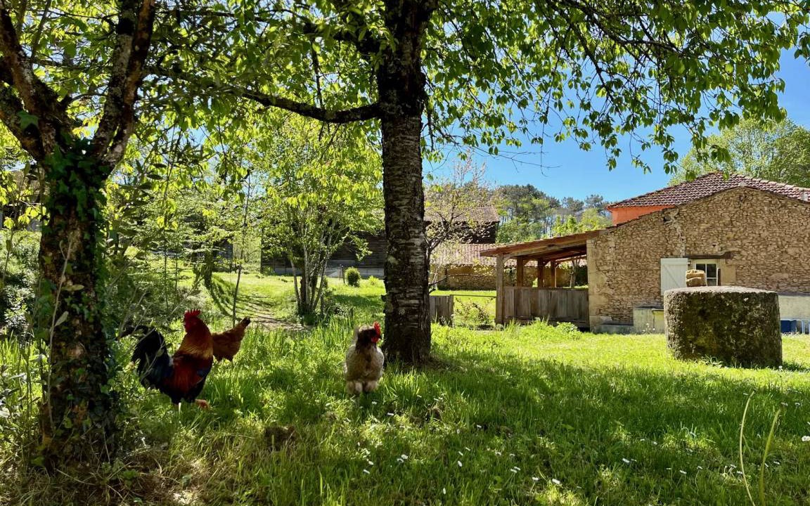 Capdrot House | 35 m² House ∙ 2 guests