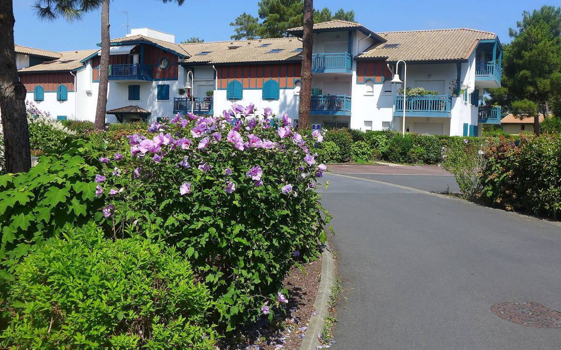 Capbreton Apartment | 40 m² Apartment ∙ 1 bedroom ∙ 3 guests