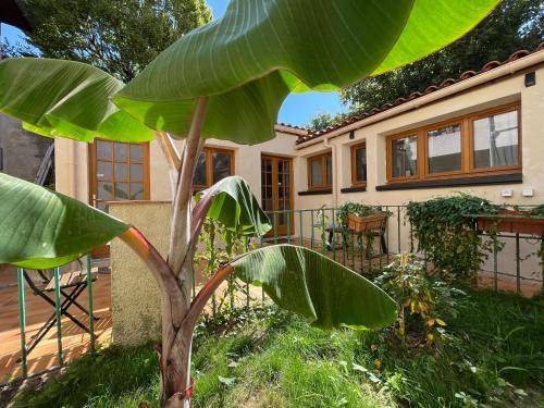 Bordeaux Villa | 40 m² Villa ∙ 2 bedrooms ∙ 3 guests