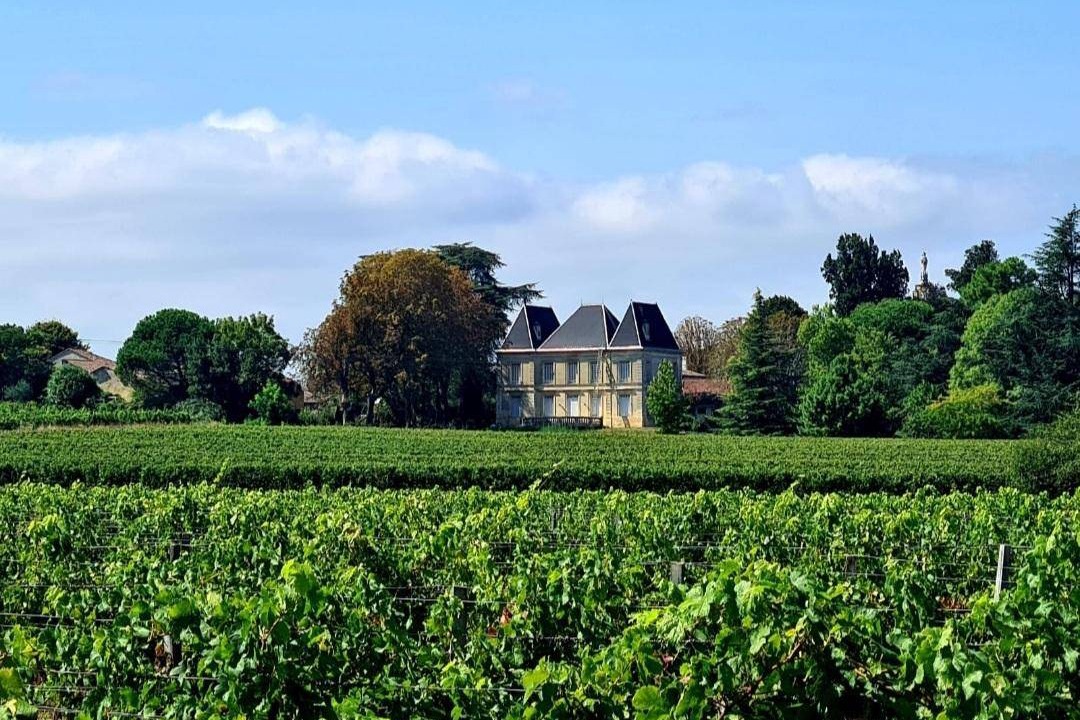 Bayon-sur-Gironde House | 45 m² House ∙ 2 guests