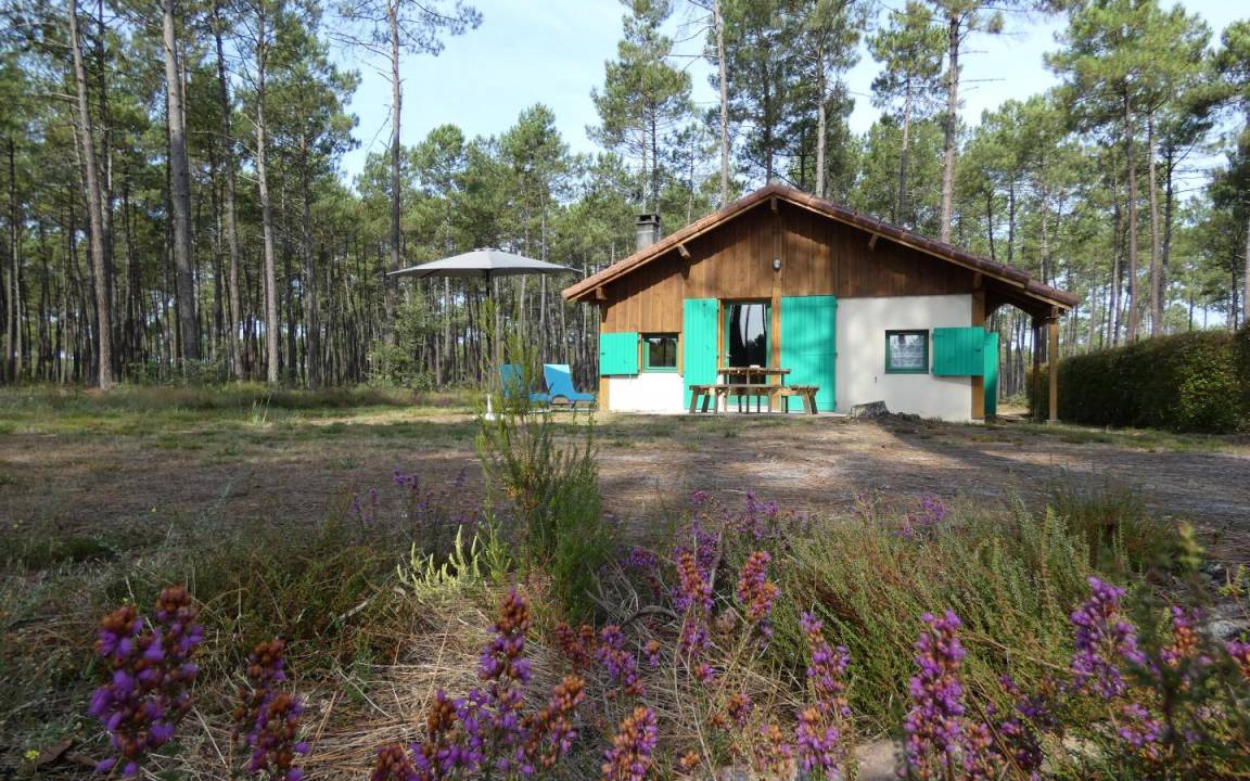 Callen House | 57 m² Gîte ∙ 2 bedrooms ∙ 4 guests