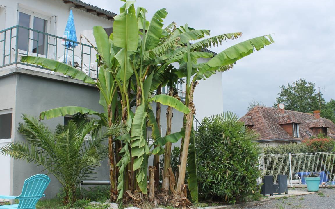 La Roche-Posay Apartment | 70 m² Apartment ∙ 2 bedrooms ∙ 5 guests