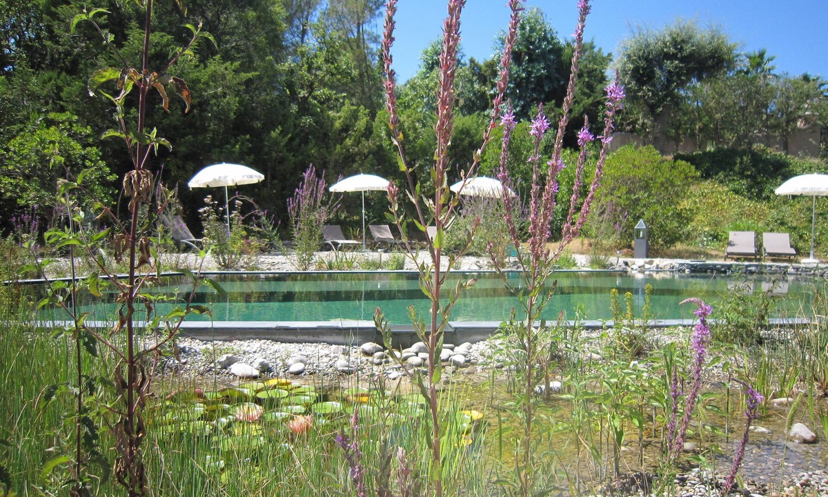 Les Restanques Apartment | Apartment 2 people N ° 3 located in a green setting.