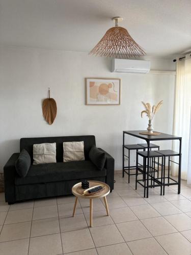 Port-Saint-Louis-du-Rhone Apartment | Appartement T2 climatisé