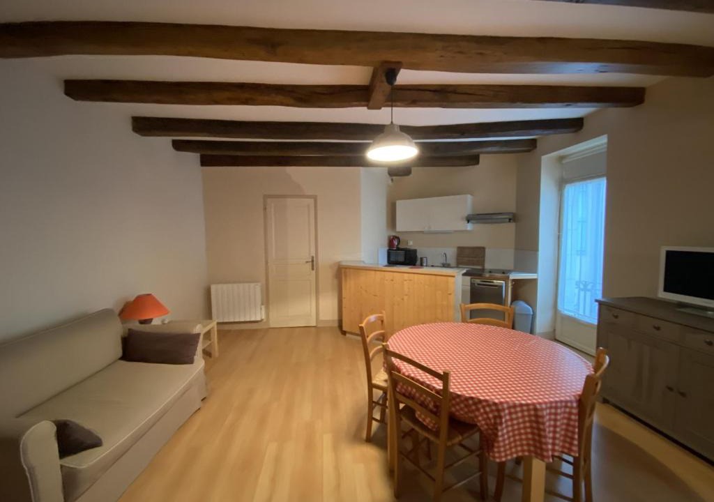 La Roche-Posay Apartment | Appartement à 70m des Thermes du Saint Roch - FR-1-541-54