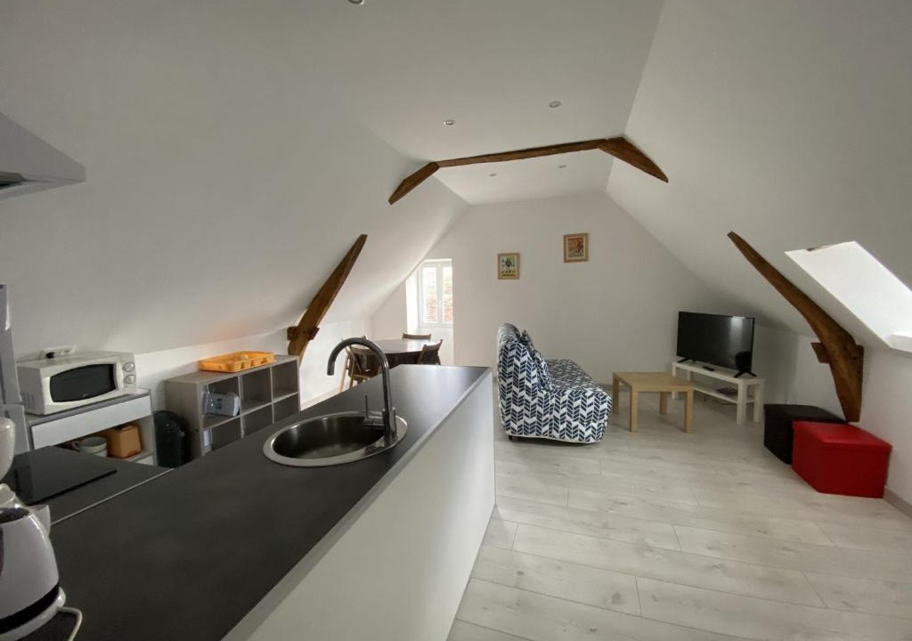 La Roche-Posay Apartment | Appartement confortable proche des Thermes avec lave-vaisselle et options de location de linge - FR-1-541-9