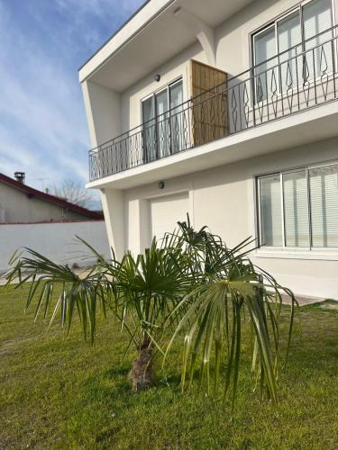 Carbon-Blanc Apartment | Appartement moderne et spacieux 4
