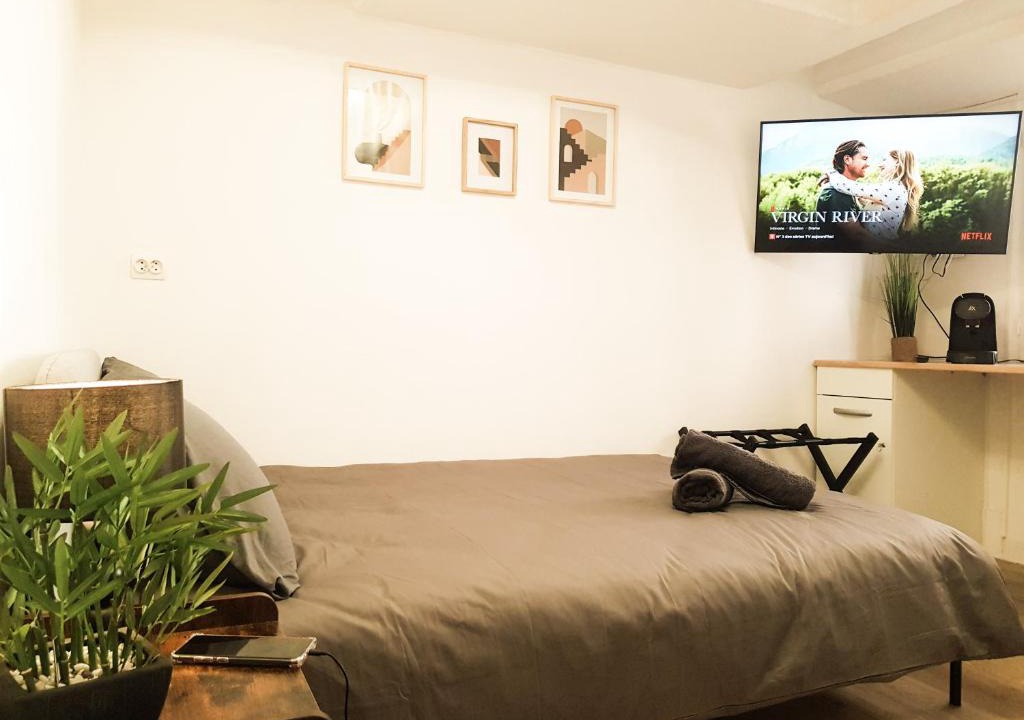 Centre Ville Apartment | Beau-Mellaise-Coeur de Niort-calme-Wifi-Netflix
