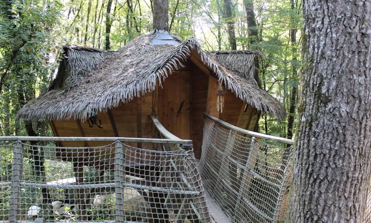 Salles-en-Toulon House | Beauty Park - Squirrel Cabin 4 people