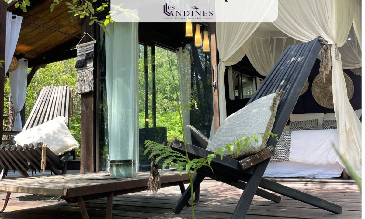 Origne Cabin | Cabane Dans les Arbres et Spa au sud Gironde