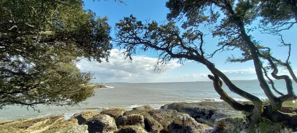Saint-Andre-de-Lidon Bed & Breakfast | Campagne et Mer