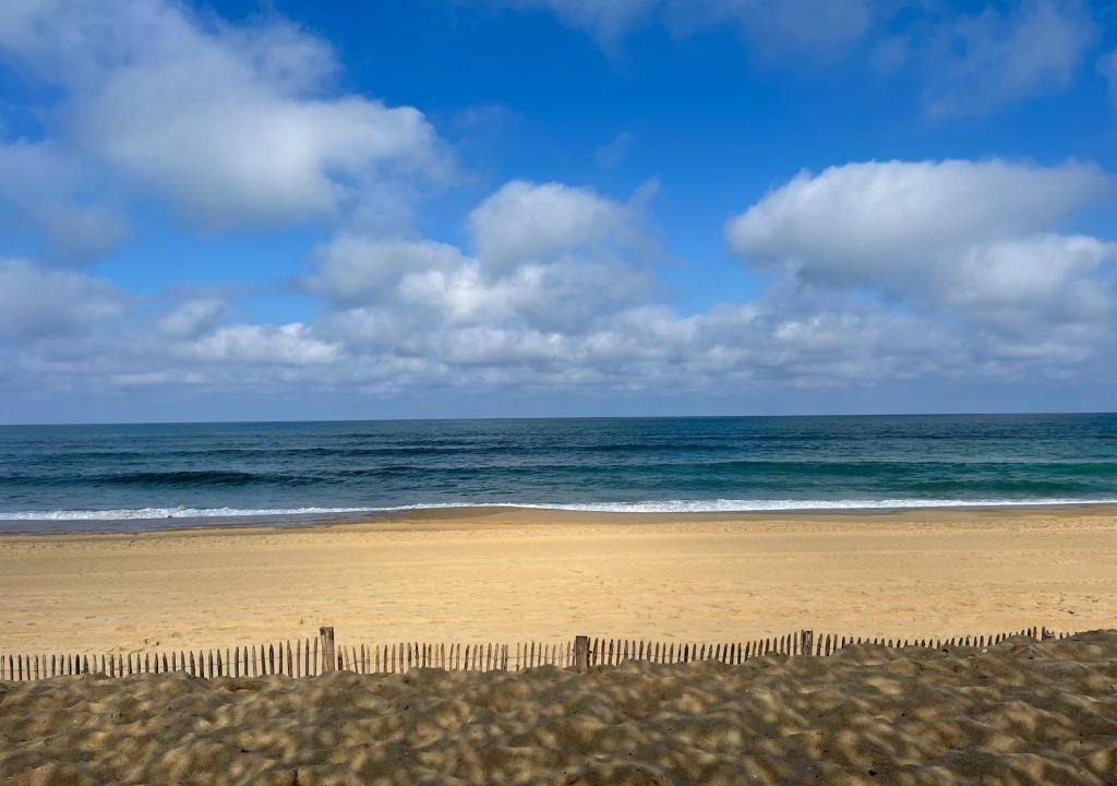 Lege-Cap-Ferret Villa | CAP FERRET 44HA (ref 153)