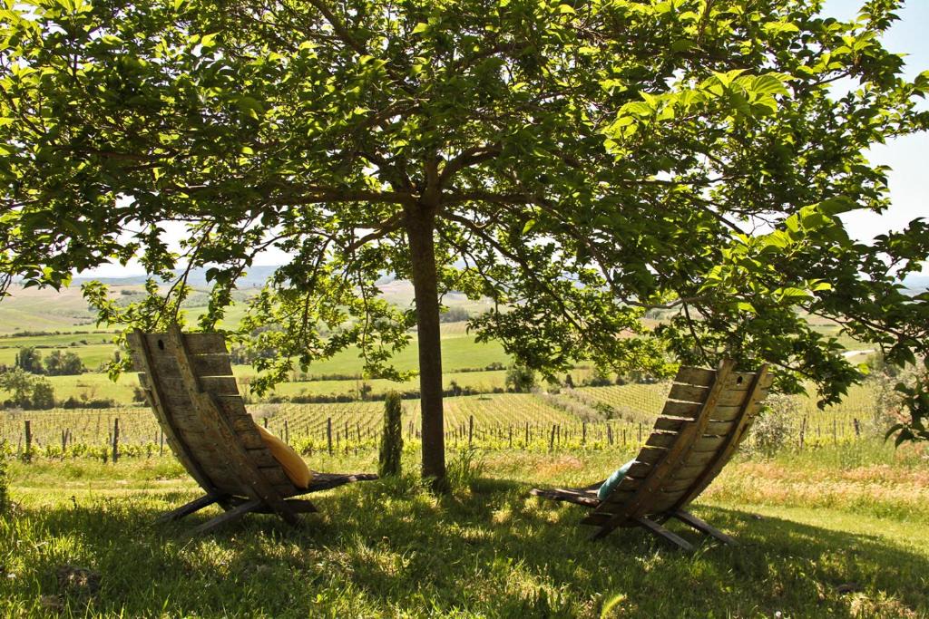 Castellina in Chianti House | Casina Di Cornia