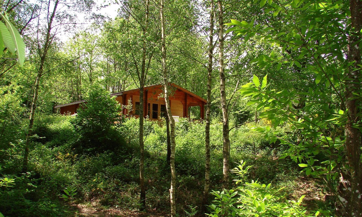 Auriac Ski Chalet | Chalet in the countryside