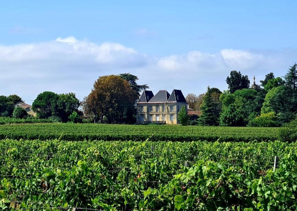 Bayon-sur-Gironde House | Chateau Tanesse de Tourny
