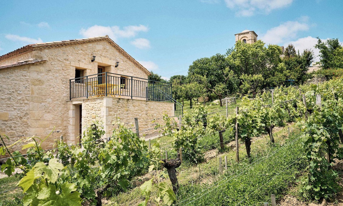 Montagne House | Domaine Baudon, situé au cœur des vignes