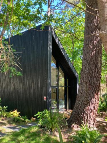 Biscarrosse House | Ecolodge 'Calme et Nature' avec Piscine au Golf-Lac de Biscarrosse - Couchage 2 personnes
