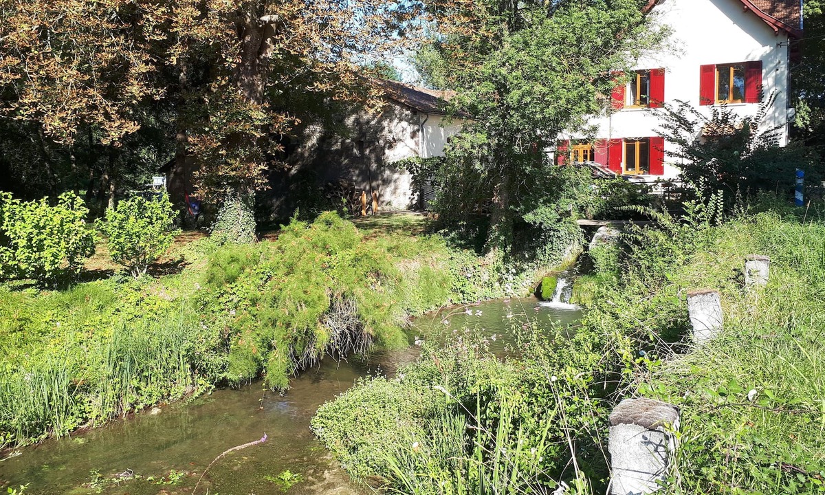 Nanteuil-de-Bourzac House | Three bedroom Country house with library in the Dordogne