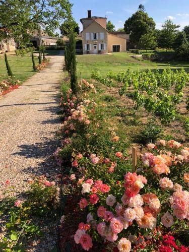 Saint-Philippe-dAiguille House | 72 m² House ∙ 3 guests