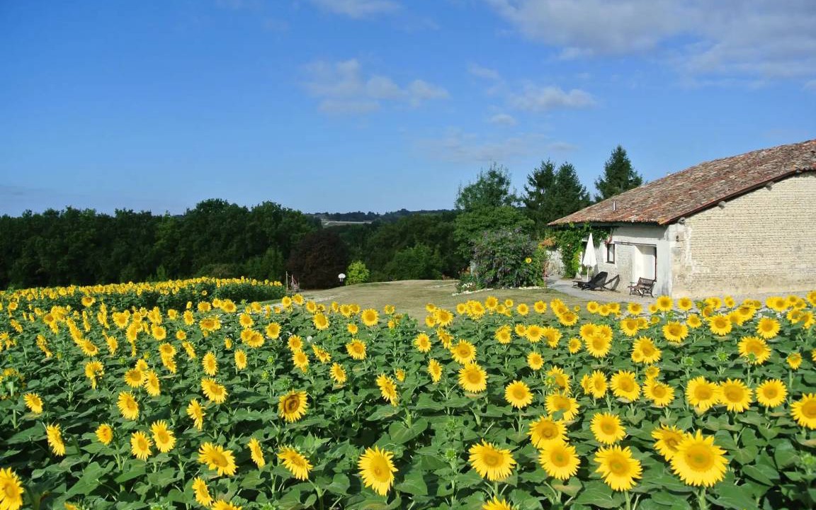 Brossac House | House ∙ 3 bedrooms ∙ 10 guests