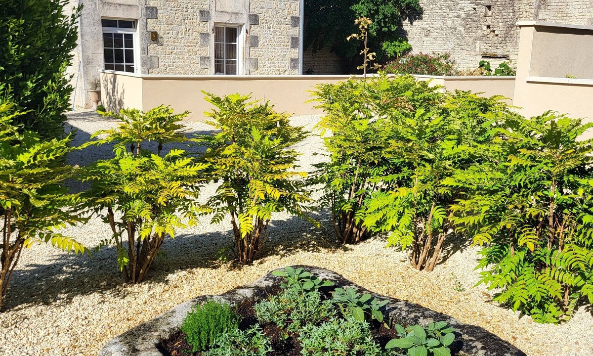 Coulonges House | Idyllic and charming 4-bedroom country manor house in peaceful Charente village.