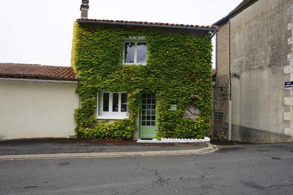 L'Isle-Jourdain House | Ivy house