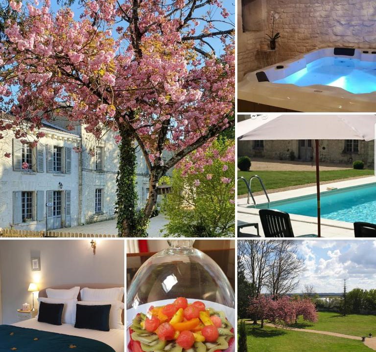 Monts-sur-Guesnes House | L'Olivier