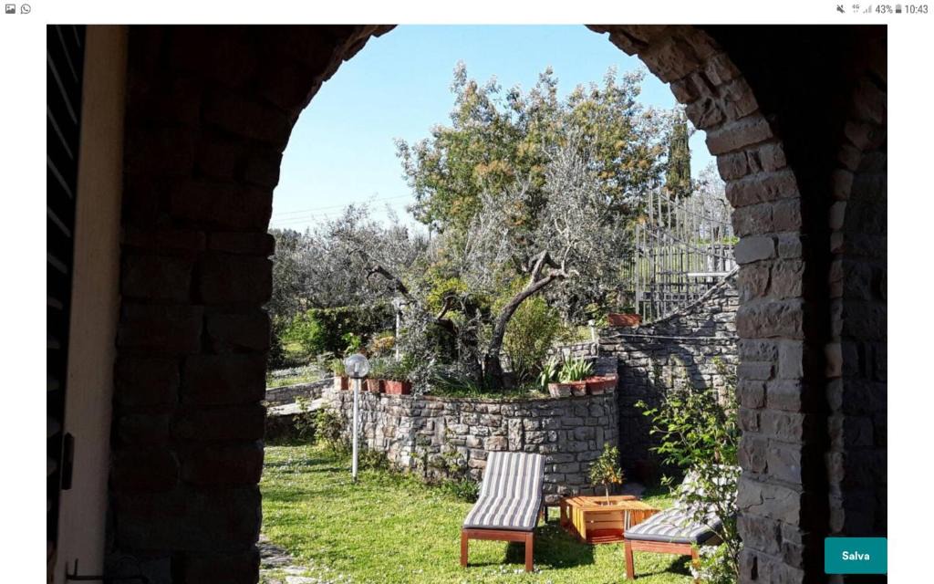 Giugnano Bed & Breakfast | La collina degli olivi