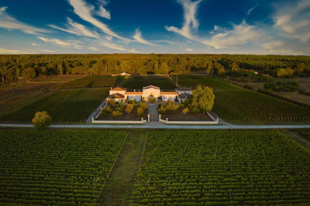 Saint-Laurent-de-Medoc Apartment | La Grande Suite du Château Saint-Laurent