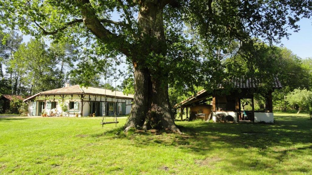 Luglon House | Le gite de marquin