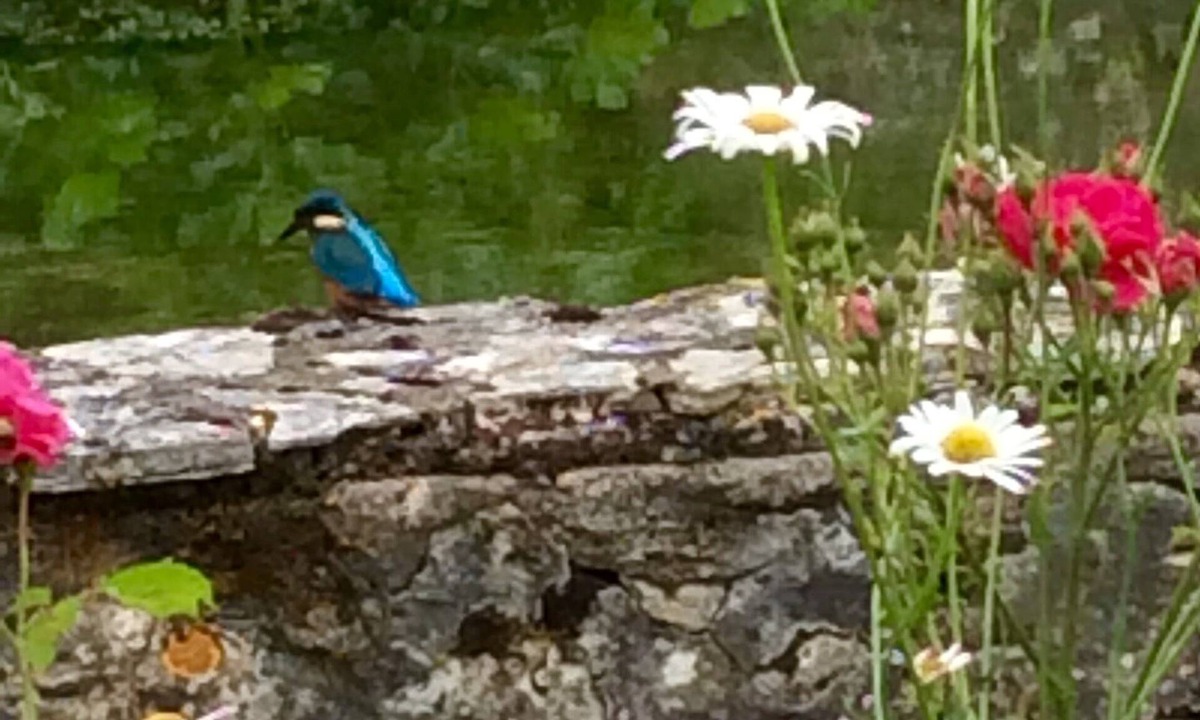 Queyssac House | Le Moulin de Cosset joins to invite you to an exceptional stay