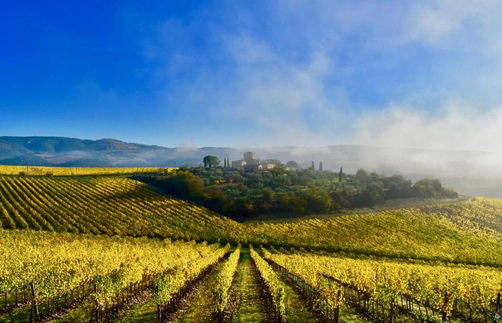 Castellina in Chianti Hotel | Locanda Le Piazze