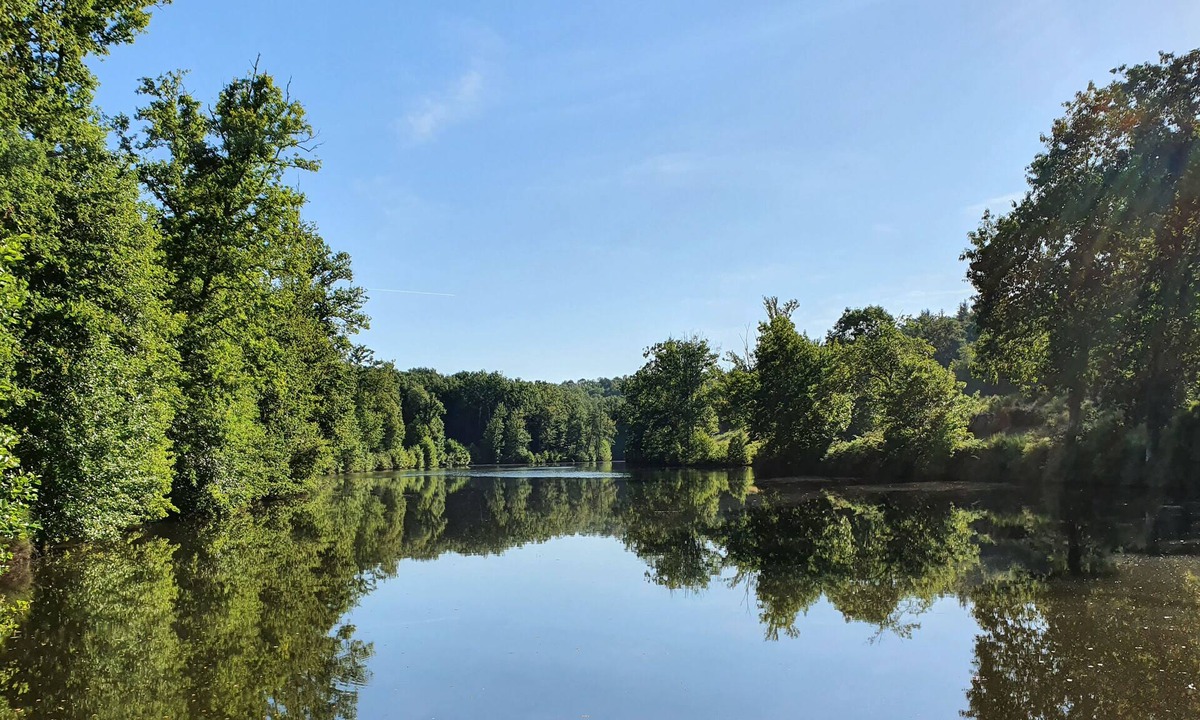 Saint-Estephe Cottage | Private lake & forest in the Dordogne: absolute calm in a comfortable gîte