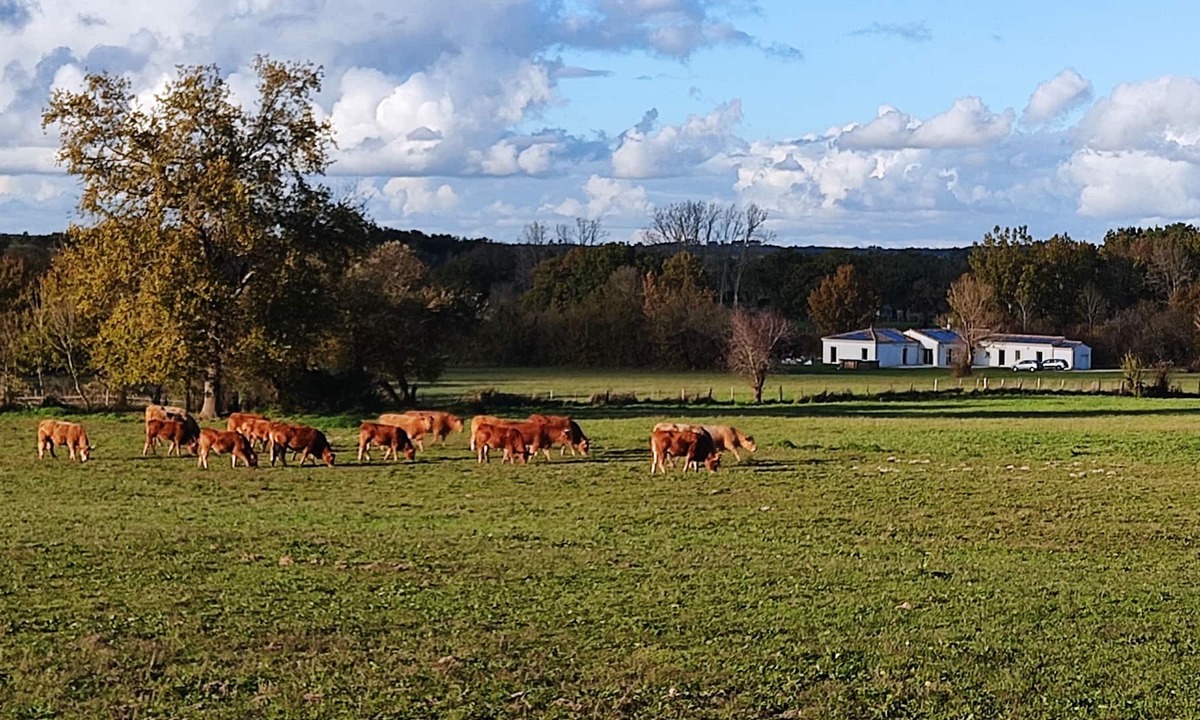 Saint-Savin House | QUIET COUNTRY HOUSE