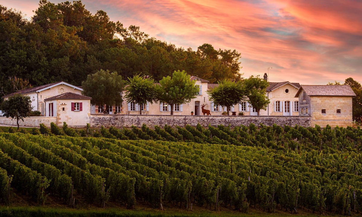 Samonac Other | Splendid chartreuse in the heart of its vineyards