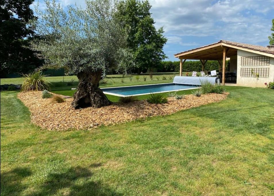 Saint-Martin-Petit House | Superbe maison en pierre proche Bordeaux &piscine