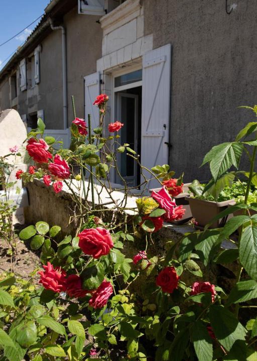 Poitiers House | The Pretty Bucolic House