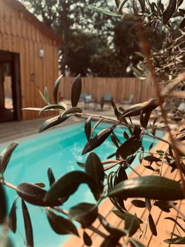 Ares Villa | Villa bois avec piscine