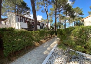 25 m² Apartment ∙ 1 bedroom ∙ 4 guests