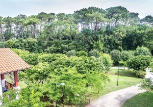 33 m² Apartment ∙ 1 bedroom ∙ 4 guests