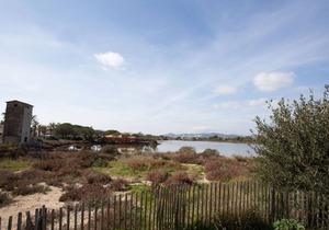 59 m² Apartment ∙ 2 bedrooms ∙ 5 guests