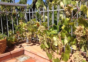 A Splendid Terrace In The Heart Of Chianti