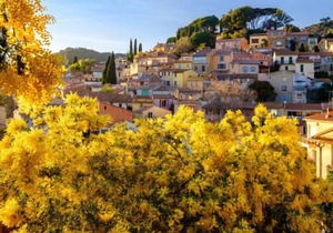 Apartment Côte d'Azur in Bormes-les-Mimosas - 4 persons, 1 bedrooms
