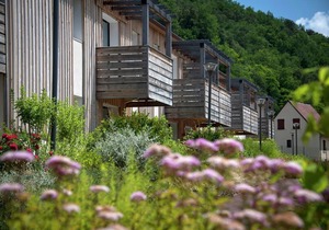 Apartment in Les Eyzies near Font-de-Gaume