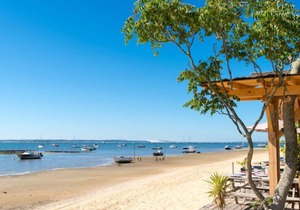 Apartment Les Pieds dans l'eau in Arcachon - 3 persons, 1 bedrooms
