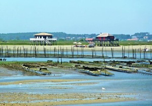 Apartment Les Pieds dans l'eau in Arcachon - 3 persons, 1 bedrooms
