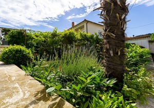 Apartments Vinko (43051-A2) - Trogir